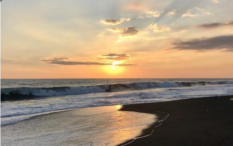 monterrico