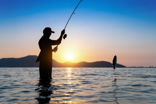 pesca